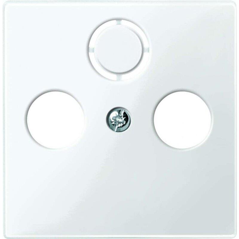 Merten 296719 Placa Central Para Antena Pws System M