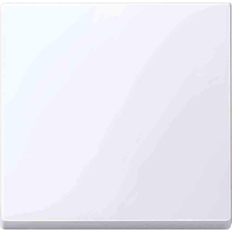 Merten 432125 Tecla Basculante Aws Brillante