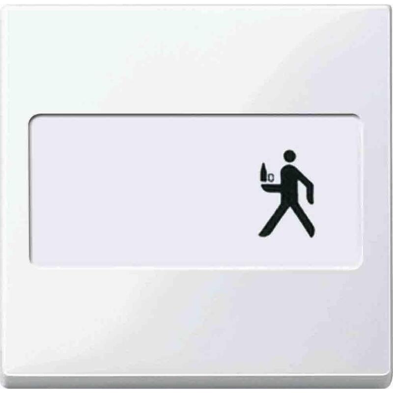 Merten 432319 Tecla Basculante Para Interruptor. Pulsador Schriftfeld Pws Syst M