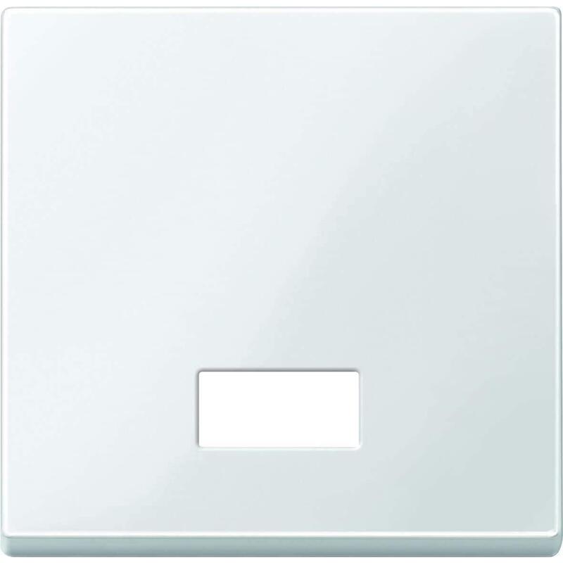 Merten 432819 Tecla Basculante Para Interruptor. Symbolfenster Pws System M