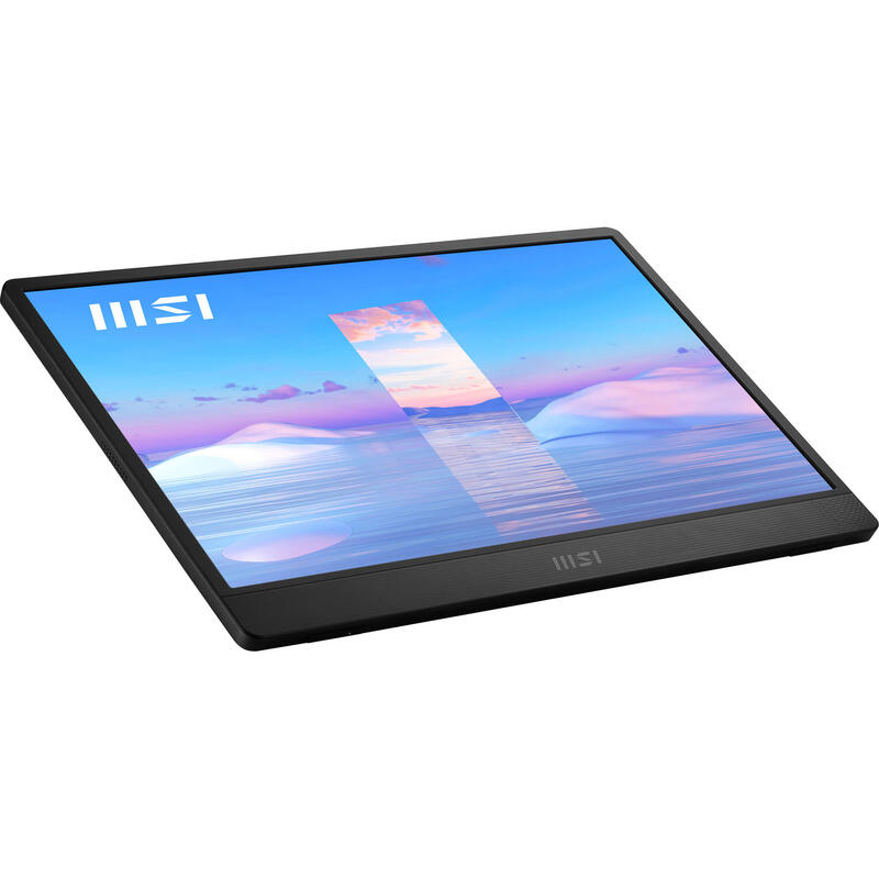 Monitor 15.6  Msi Pro Mp161 Iron Gray 4ms 60hz Fhd Ips Dp 2xusb Hdmi Vesa