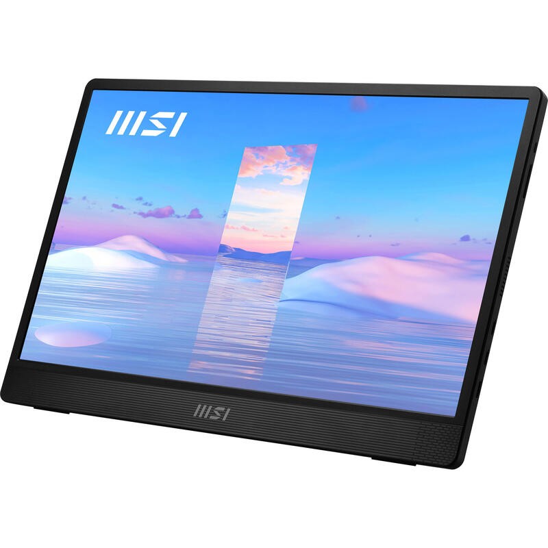 Monitor 15.6  Msi Pro Mp161 Iron Gray 4ms 60hz Fhd Ips Dp 2xusb Hdmi Vesa