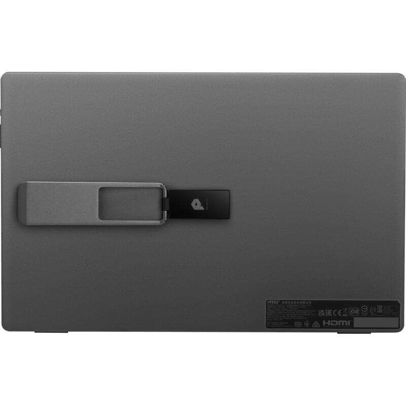 Monitor 15.6  Msi Pro Mp161 Iron Gray 4ms 60hz Fhd Ips Dp 2xusb Hdmi Vesa