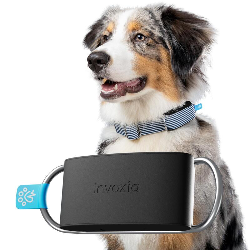Monitor Cardíaco Invoxia Mini Tailz Lwt6 (Con Suscripción De 1 Año)