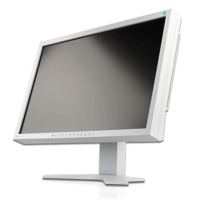 Monitor Reacondicionado Eizo S2202w 22" Dvi-D Y Vga