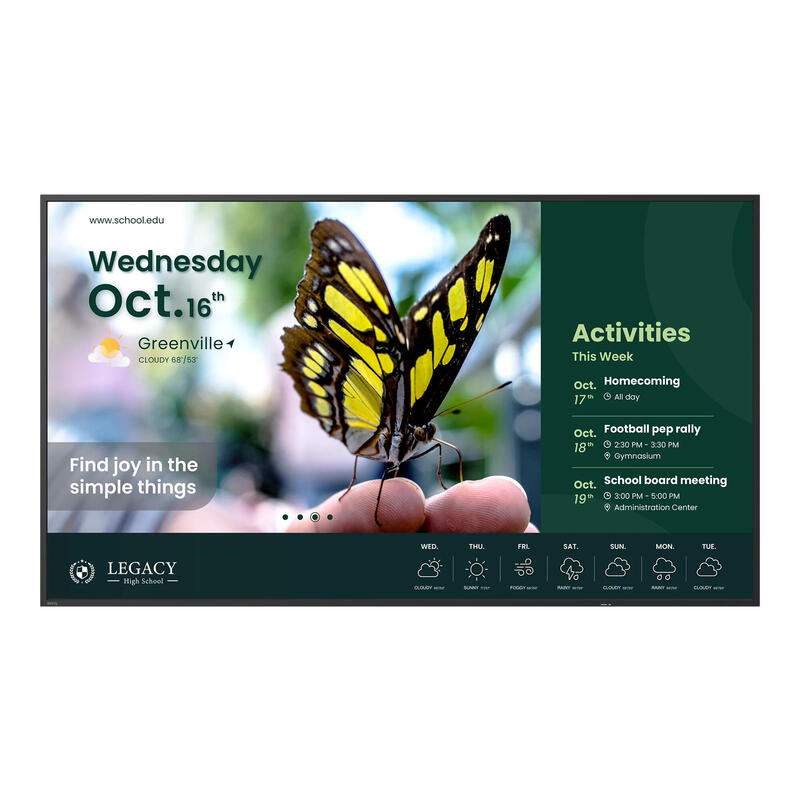 Monitor Wielkoformatowy 43 Cale St4304 4k/1200:1/Android