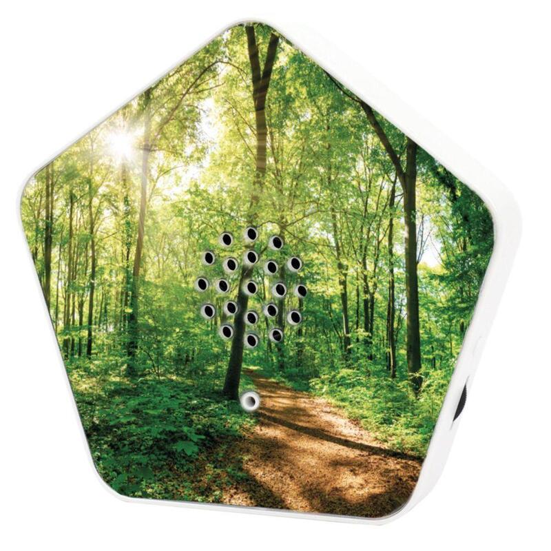 Olymp Nature Box