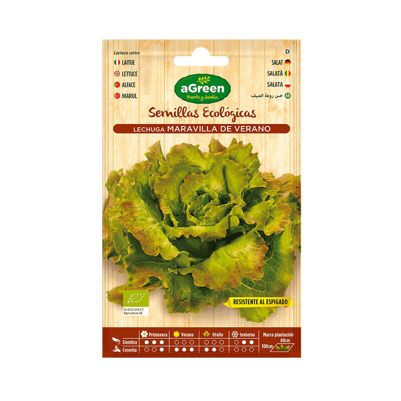 Pack De 10 Unidades - Sobre Con Semillas Eco De Lechuga Maravilla Agreen