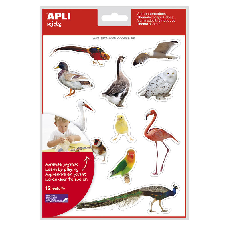 Pack De 5 Unidades Apli Gomets Tematicos Realistas De Aves - 144 Gomets En 12 Hojas - Imagenes Realistas Para Relacionar Aves - Desarrolla Habilidades Motoras - Adhesivo Removible - Adhesivo Base Agua - Coloridos