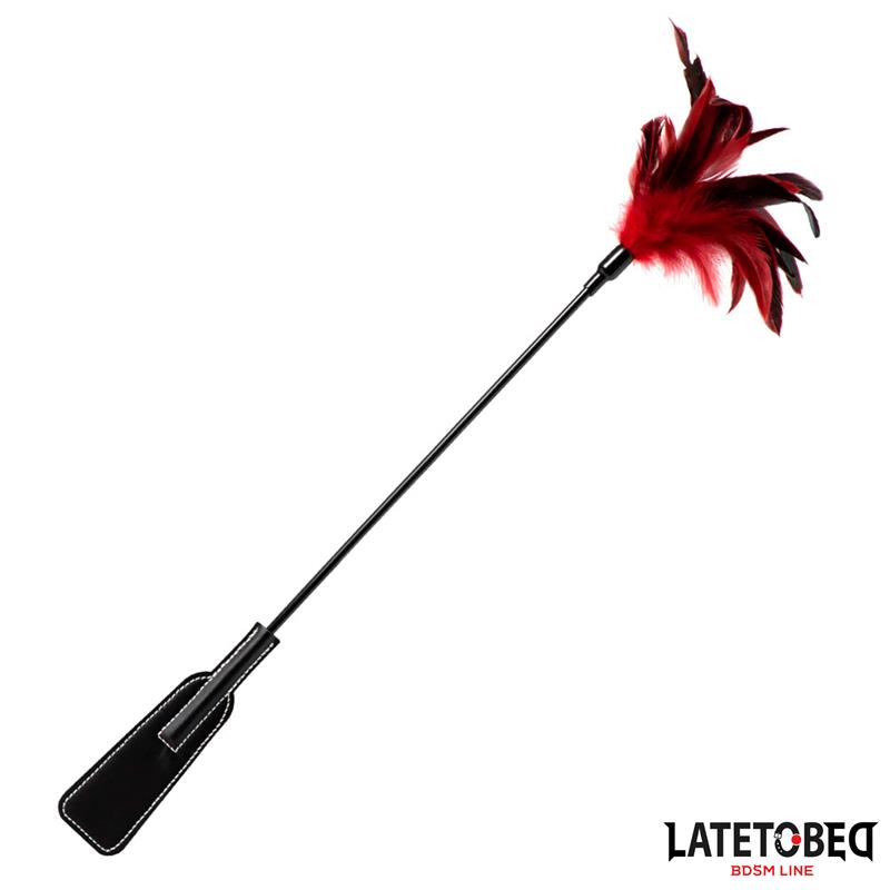 Pala Con Plumas 2 En 1