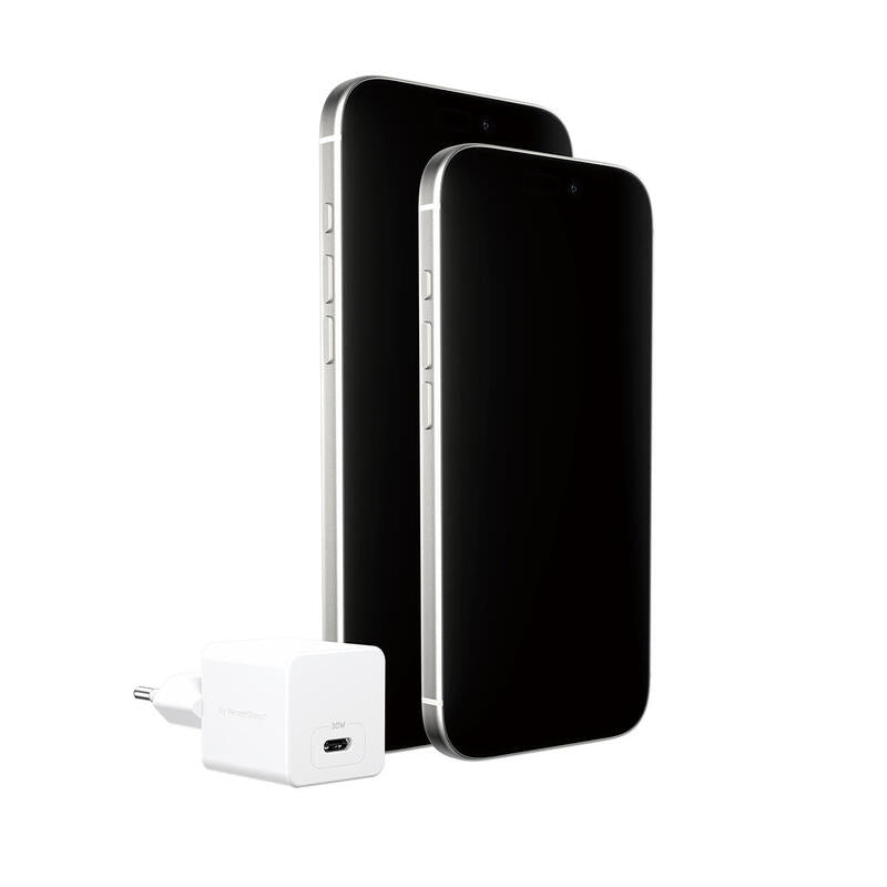 Panzerglass Empower Turbo 30w Charger Single Usb-C Eu Plug Silver Blanco