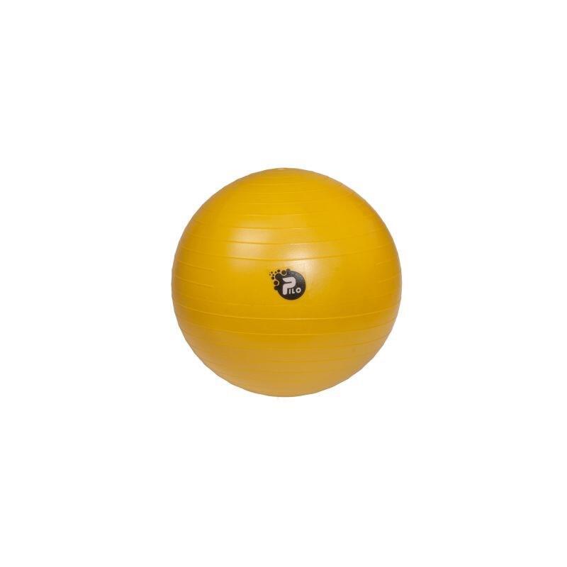 Pilka Rehabilitacyjna Abs Pilo-1045 Rehafund