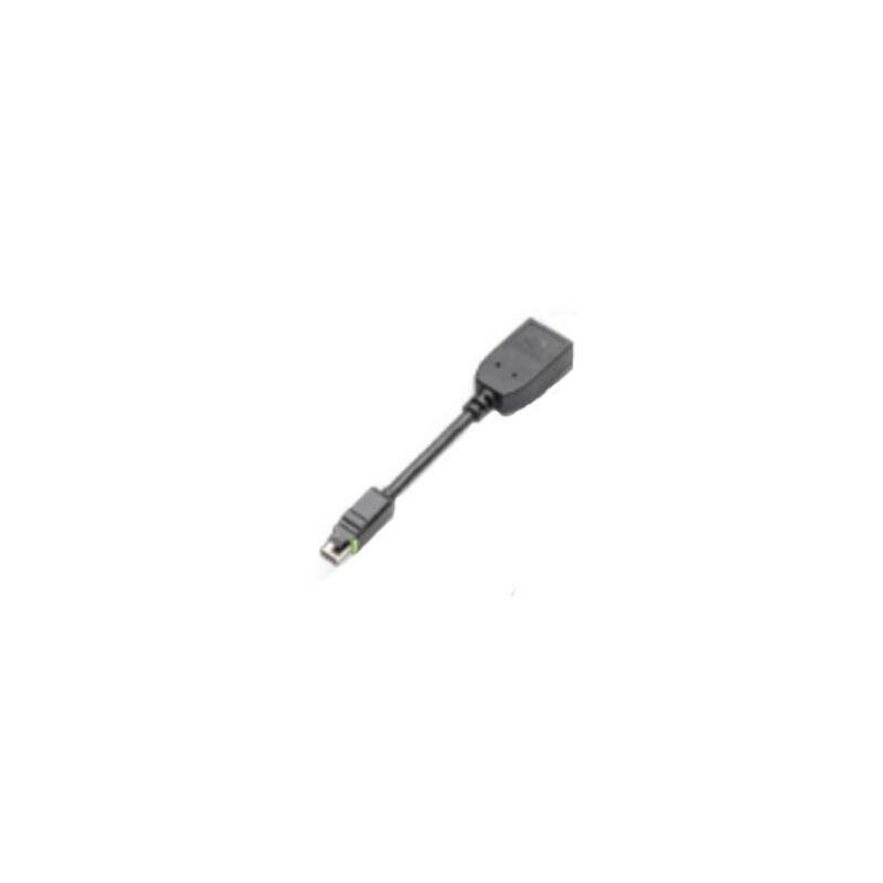 Pny Qsp-Minidp/Dpv3 Adaptador Mini-Dp Auf Dp