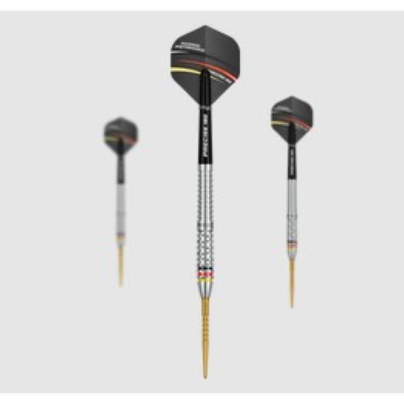 Precise180 - Steeldarts Ricardo Pietreczko - 21gr.
