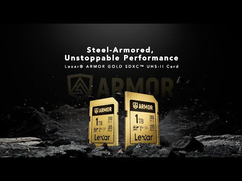 EAN 0843367138586 - Lexar LSDAMGL512G 512 GB SDXC UHS-II