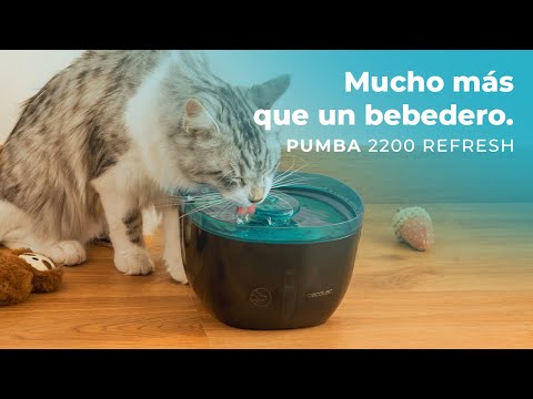 EAN 8435484095617 - Cecotec Pumba 2200 Refresh comedero y bebedero para perro y gato Plástico Negro, Azul Universal Bebedero 