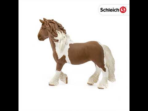 EAN 4005086137738 - schleich FARM WORLD 13773 figura de juguete para niños