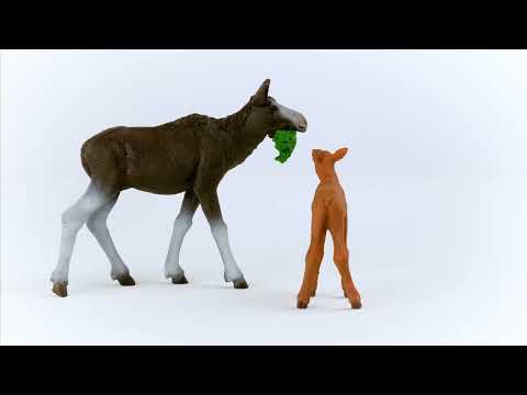 EAN 4059433654058 - schleich Vida Salvaje 42629 set de juguetes