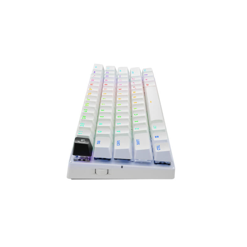 Pro X 60 Tkl Lightspeed Gaming