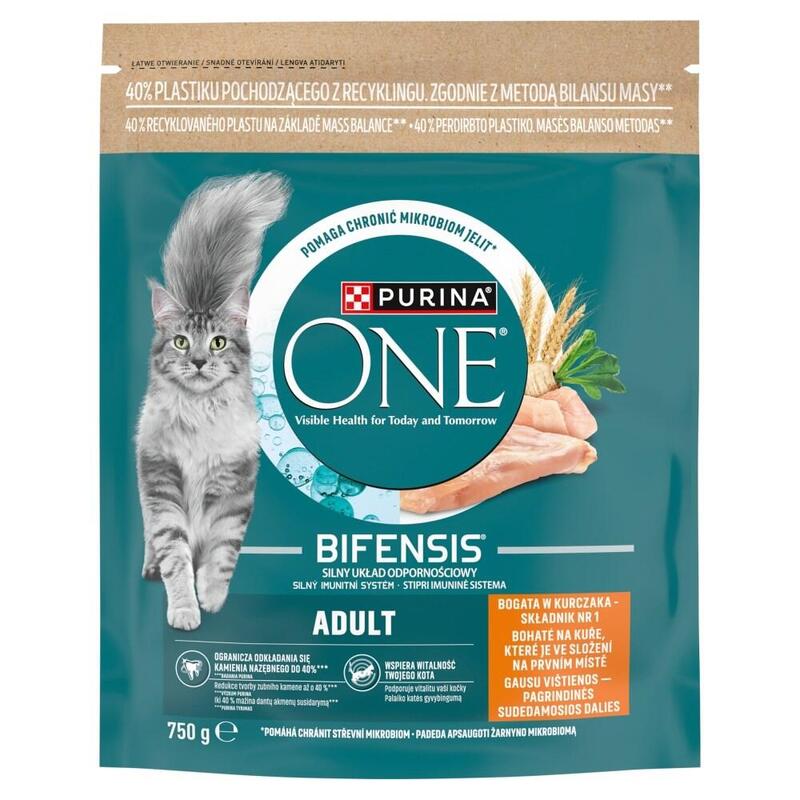 Purina One Mini Active Bogata W Kurczak Z Ryz 750g