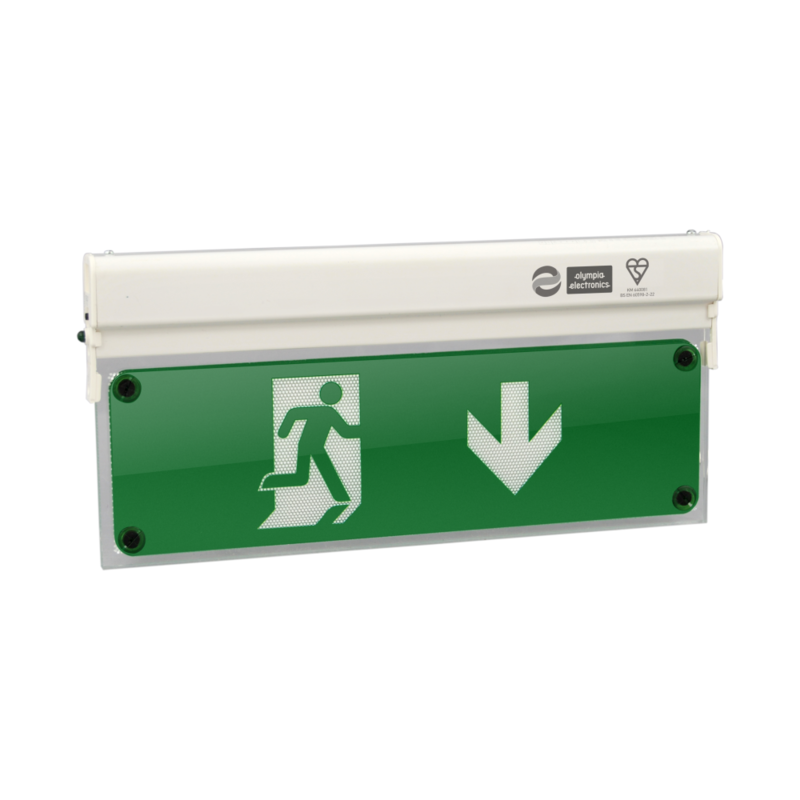 Señal De Seguridad Con Iluminación Led Interna 3 Horas