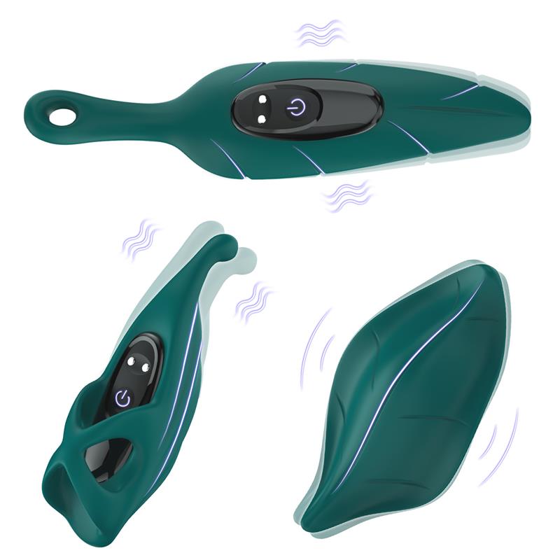 Set De Vibrador Y Fundas