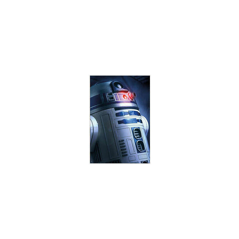 Star Wars - Cuadro - Photo Illuminated Canvases R2d2 Small