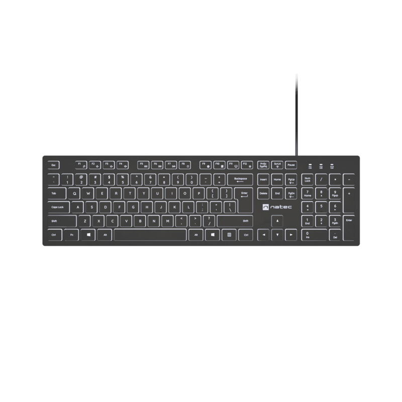 Teclado Herring Glow Us