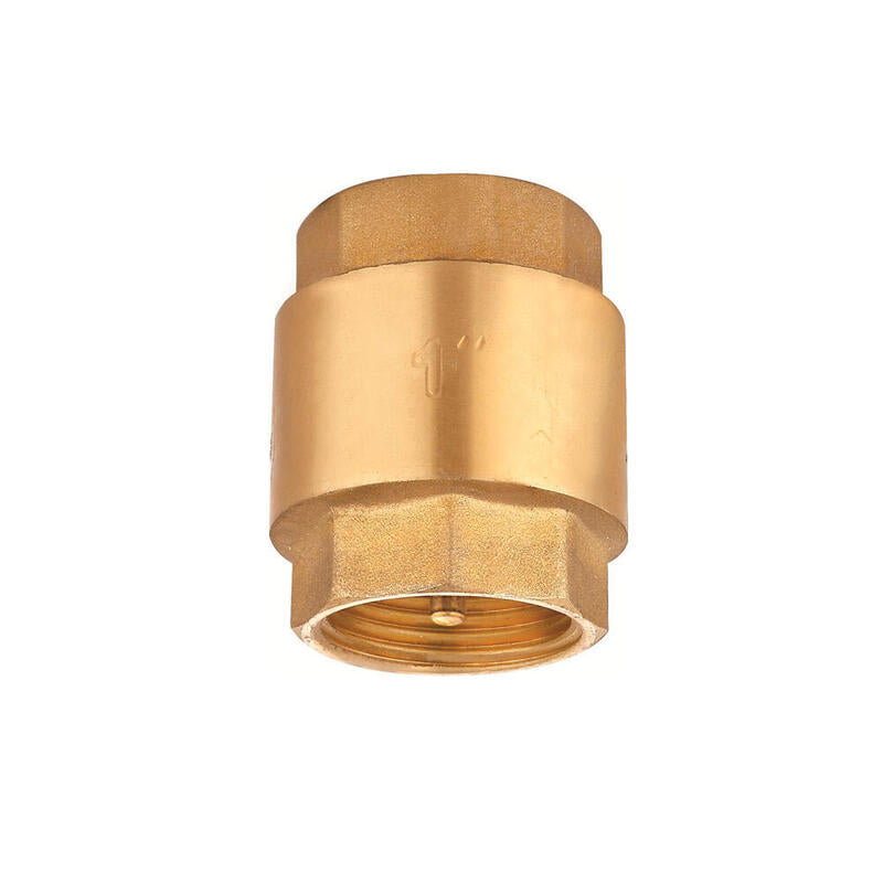 Válvula Retención H-H 1 1/4"