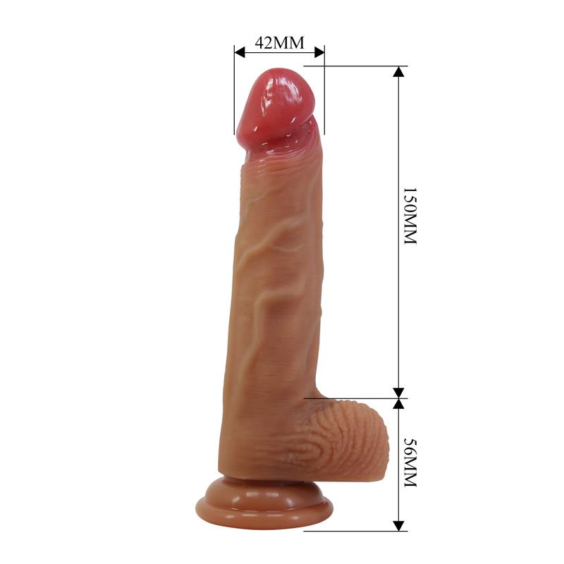 Wells Arnés Universal Con Dildo